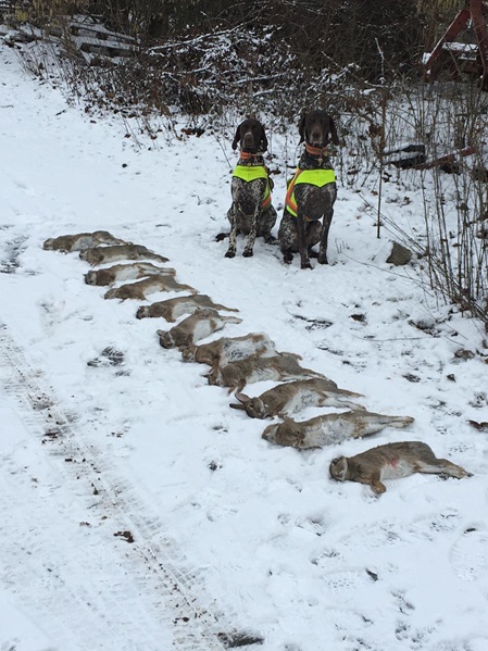 nach der Jagd