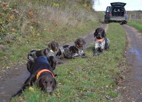 Familen treffen